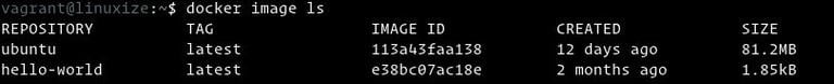 Docker List Image