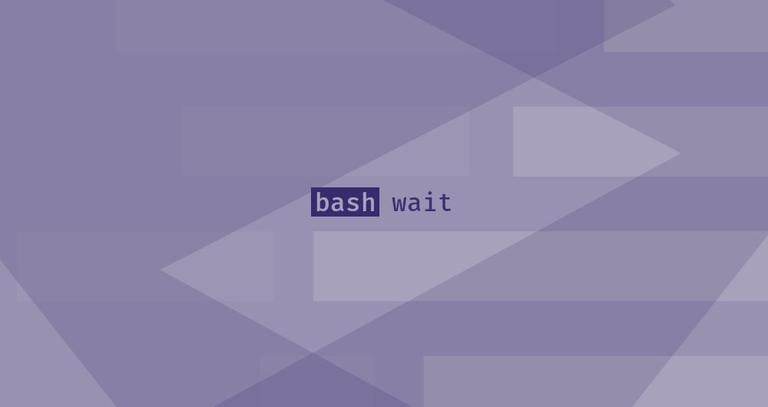 Bash wait Command