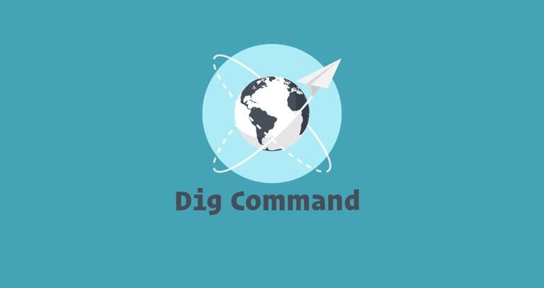 Dig Command in Linux (DNS Lookup)