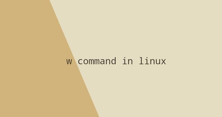 W Command in Linux