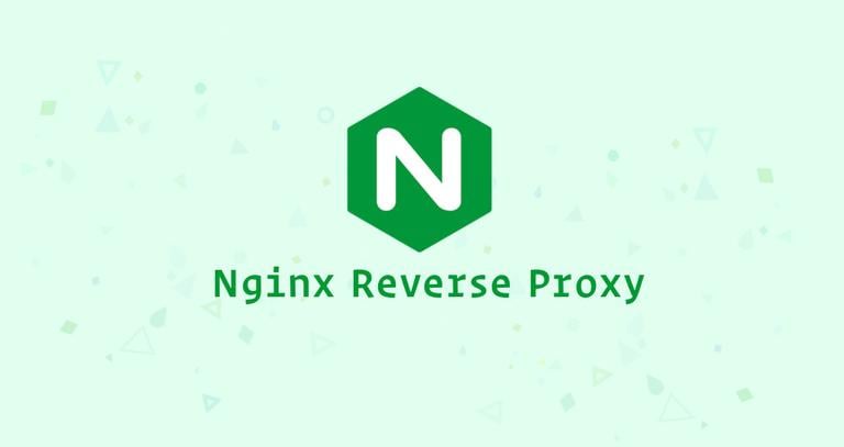 Setting up an Nginx Reverse Proxy