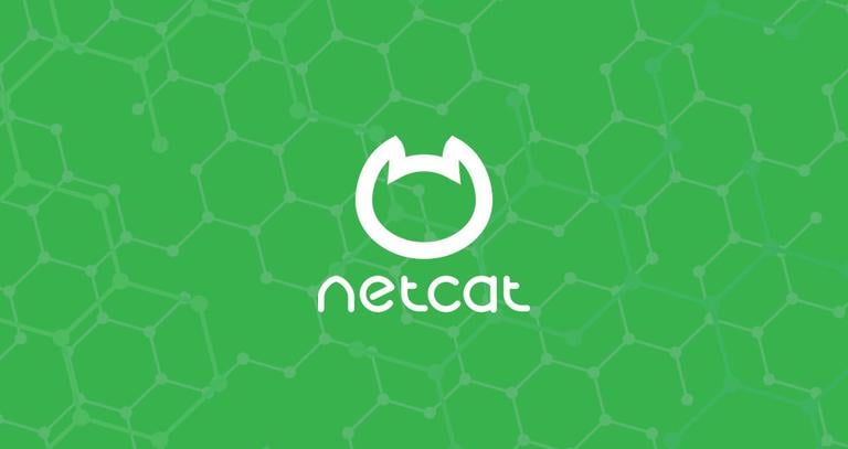 Netcat (nc) Command with Examples