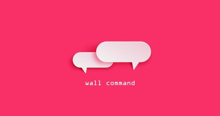 Wall command in Linux