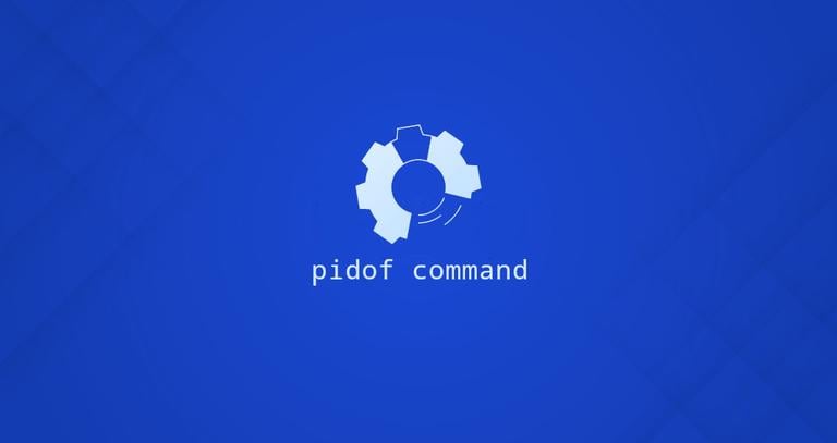 Pidof Command in Linux