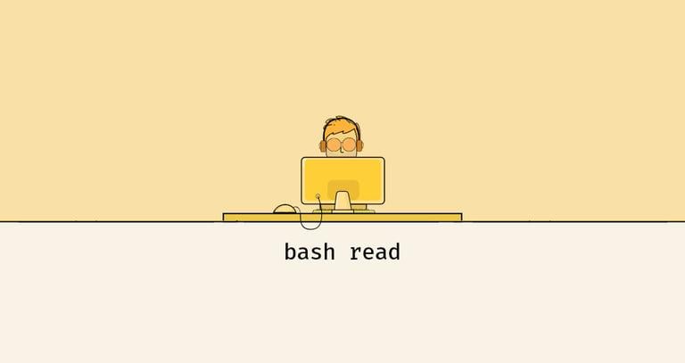 Bash read Command